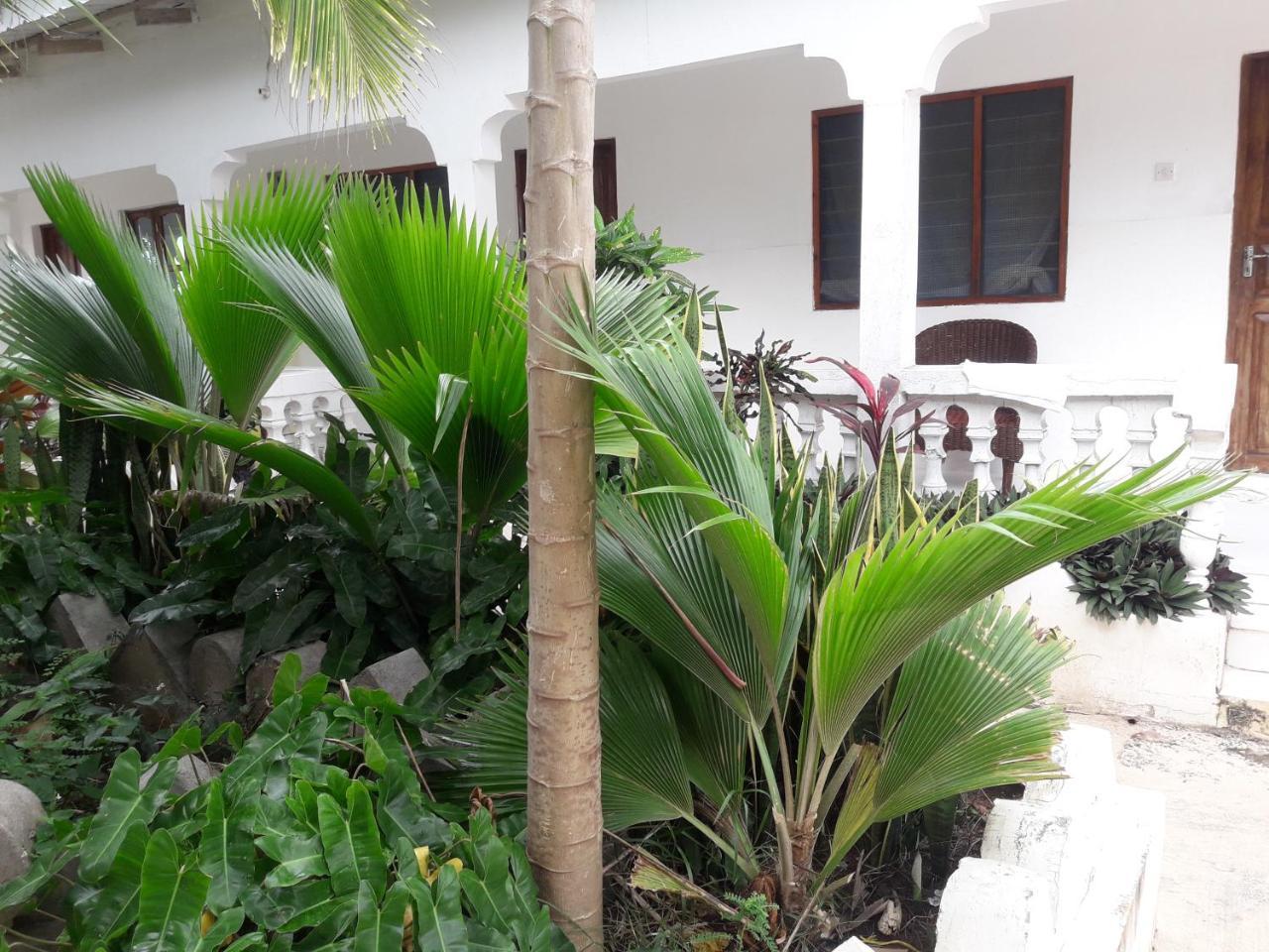 Ebony & Ivory Beach Bed & Breakfast